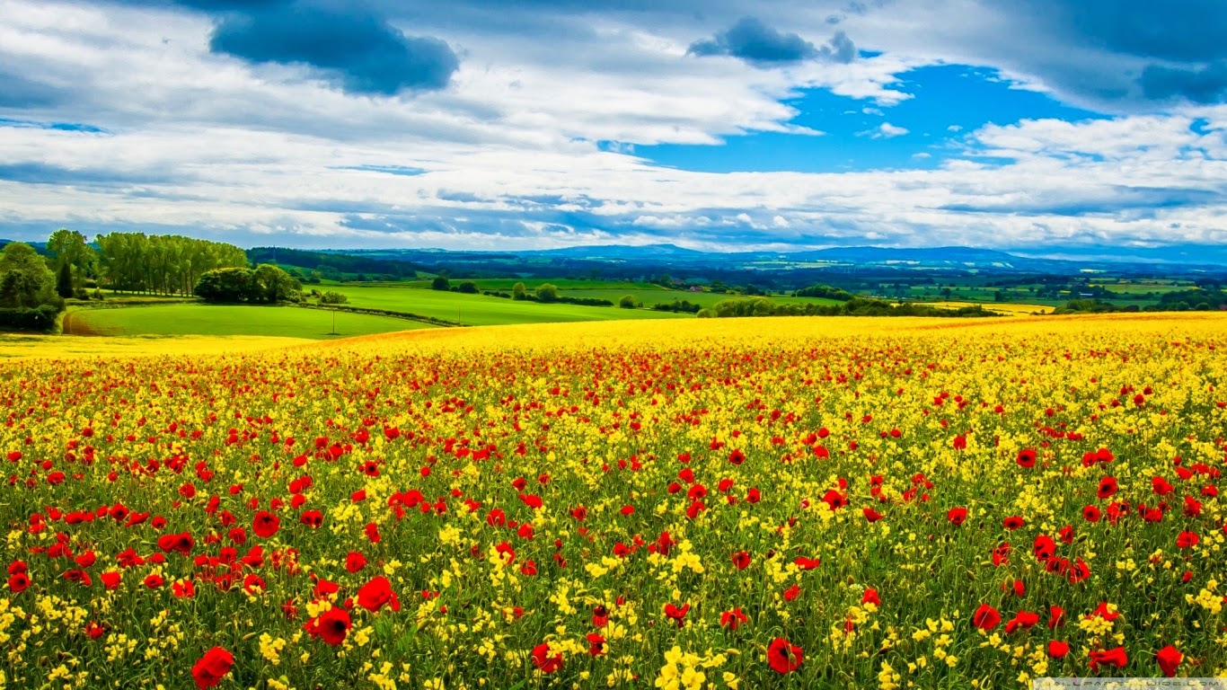 fond d'ecran gratuit image de printemps